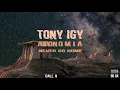 Tony Igy – Astronomia (Never Go Home)Lyrics