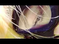 Galimatias (The Sound You Need) — “Ocean Floor Kisses” [Extended] (1 Hr.)