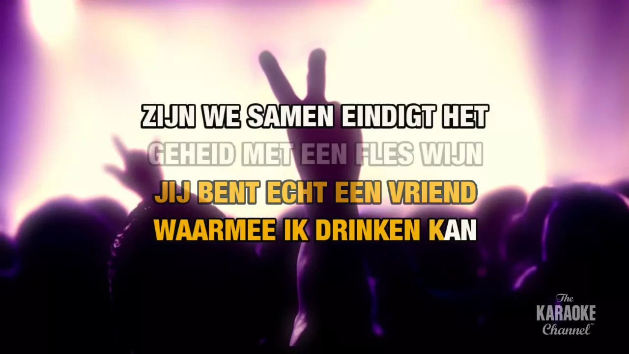 Echte vrienden in the style of Jan Smit | Karaoke with Lyrics Echte vrienden in the style of Jan Smit | Karaoke with Lyrics
