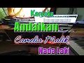 Download Lagu ANDAKAN CAMELIA MALIK NADA LAKI KARAOKE YAMAHA PSR S770