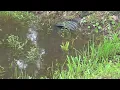 Hardin County set to receive 23 8M in federal funds for flood control drainage projects