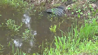 Hardin County set to receive 23 8M in federal funds for flood control drainage projects