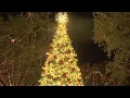 St Augustine seeks more funding after crowds for Nights of Lights cause traffic safety concerns