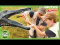 Lagu Dinosaurier und die mysteriöuse Flaschenpost | T-Rex Ranch - Dinosaurier für Kinder