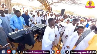 الفنان خالد شبشة حفلة صنوبر دارحامد شمال كردفان الغزال الاسمر ودحسان 