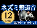Download Lagu ネズミ撃退音(12時間)。就寝中や外出中にネズミが嫌がる音を連続再生
