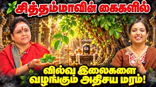 🔱 சித்தம்மா வழியாக அகத்தியர் அருளிய சக்திவாய்ந்த பரிகாரம்!
