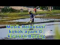 Download Lagu Musik Relaksasi | Suara \u0026 Suasana Sawah pedesaan di Pagi hari | Kokok Ayam dan Kicauan Burung