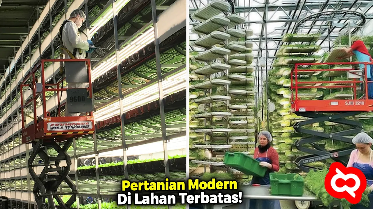 Ketika Bertani Tak Lagi Bergantung Pada Lahan Luas dan Musim❗Inovasi Pertanian Masa Depan