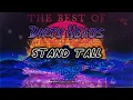 Dirty Heads - Stand Tall (Boost-Audio)