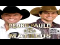 Download Lagu Pedro Paulo e Matheus -minhas seleção