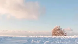 سورة الفاتحة مكررة 21 مرة 