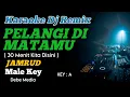 Download Lagu KARAOKE DJ PELANGI DI MATAMU JAMRUD MALE KEY