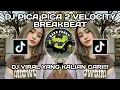 Download Lagu DJ TIMUR KE BARAT SELATAN KE UTARA BERJEJER PULAU PULAU | DJ PICA PICA 2 VIRAL TIKTOK 2025