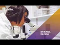 Download Lagu Dia a dia de pesquisadoras que buscam uma solução para o coronavírus | SBT Mulher - EP. 54
