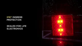 Video: LED achterlicht met zwarte rand | 12-24v | 40cm. kabel M | 100BARRME