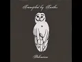 New Orleans - Trampled by Turtles