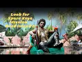 Look for Spare Keys for Michael s room - Dead Island 2 PS5