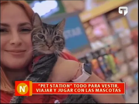 Pet Station Todo para vestir viajar y jugar con las mascotas
