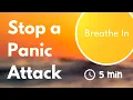 Stop a Panic Attack Now with this Breathing Exercise 7 5 Breaths Per Minute Second Timer