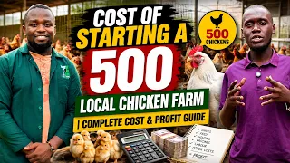 The Cost Of Starting a 500 Chicken Farm I Complete Startup Cost & Profit Guide