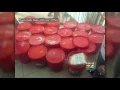 24 Million In Cash Discovered In Miami-Dade Police Raid