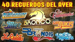 Los Temerarios, Los Bukis, Los Yonics, Los Caminantes Sus Más Hermosas Canciones Románticas del Ayer