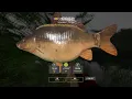 Download Lagu Russian Fishing 4｜Copper Lake－Trophy C2 SuperFreak｜銅湖－星C2超級怪胎(30.296kg)