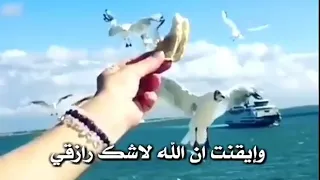 نغمة توكلت في رزقي على الله خالقي دندنها