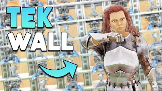 Defending My Hidden SOLO RATHOLE With A Tek Wall