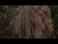 Relaxing Morning Valley Walk (No Music) | 4K Nature Ambience for Deep Sleep & Study