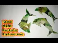 Lagu Tutorial Origami Uang Kertas Ikan Lumba - Lumba|•|Money Origami