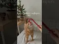 Christmas wallpaper