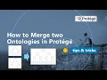 Master Protege How to Merge Two Ontologies Tutorial