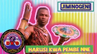 JIMINOGENI DOTO HARUSI KWA PEMBE NNE AUDIO BY DOTO NKUBHA GASHI 2025 