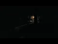 Bobcat scream in woods