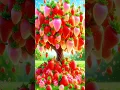 Download Lagu quick and easy method to plant and grow strawberry trees #garden #plants