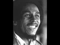 Bob Marley minimal400 years Jimpster Remix.avi