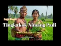 Lagu TINGKAKOK NIMANG PADI || LAGU DAYAK [ROCK DUA WARNA}