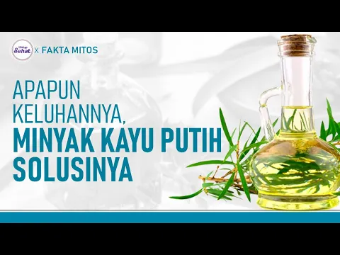 Bedah Fakta Mitos Seputar Minyak Kayu Putih