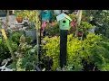 Lagu Tuesday Garden Walk 10/14/2025
