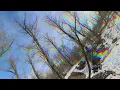 Un-Official Rezz - Can You See Me? Music Video