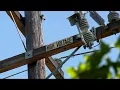 Lafayette Neighborhood Hit by Repeated Power Outages During Heat Wave