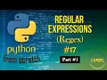 Python Course Regular Expressions Part 1 -