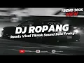 Lagu DJ ROPANG DENNY CAKNAN X NDX AKA FULL SONG | VIRAL TIKTOK ZEIN FVNKY 