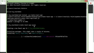 ReactJS - Environment Setup Through NPM