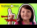 Morphology Minute Episode 7