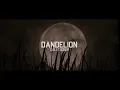 Download Lagu DANDELION (Lyric Video) - Cali Tucker