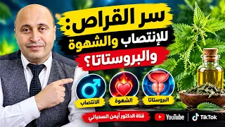 ماذا يحدث للانتصاب والشهوة والبروستاتا عند تناول القراص؟