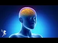 Whole Body Rejuvenation - Eliminates All Negative Energy Healing Body Mind and Spirit 432 Hz